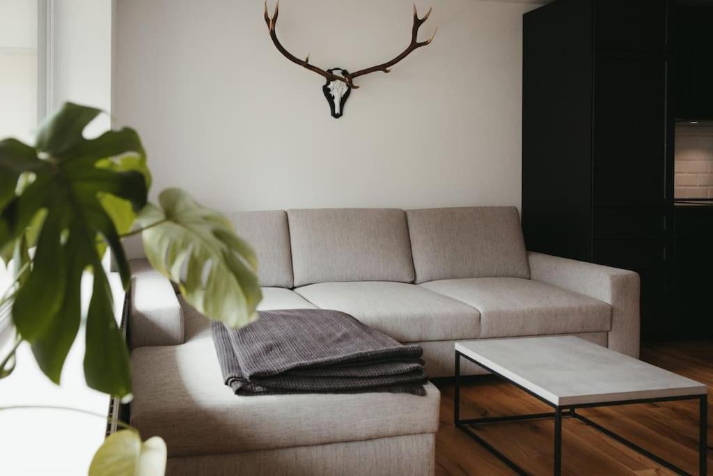 Schwarzwald Loft Menzenschwand Διαμέρισμα Εξωτερικό φωτογραφία